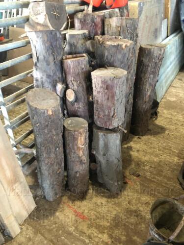 Quantity of english yew machine turning logs