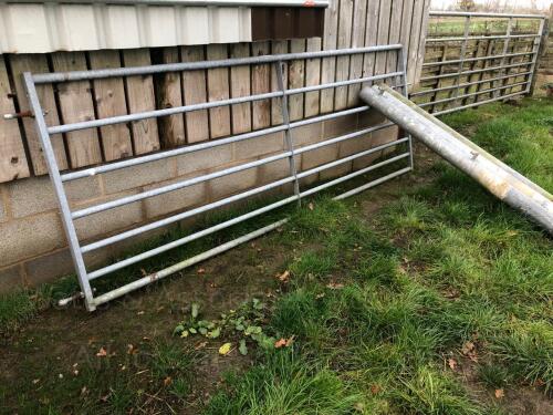 10' galvanised field gate with 3 x gate posts