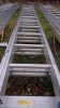 Aluminium triple extension ladder - 2