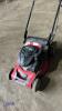 MOUNTFIELD S481 petrol rotary mower