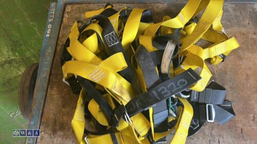 Quantity of harnesses