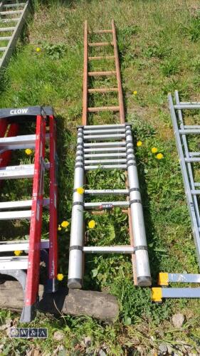 Wooden scaffold ladder & telescopic ladder