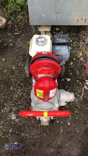 HILTA 2'' petrol driven water pump