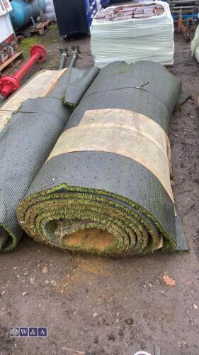 2 x rolls of astroturf