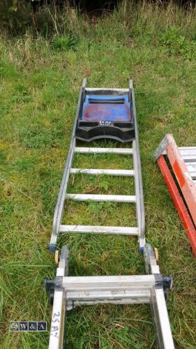 Decorators step ladder