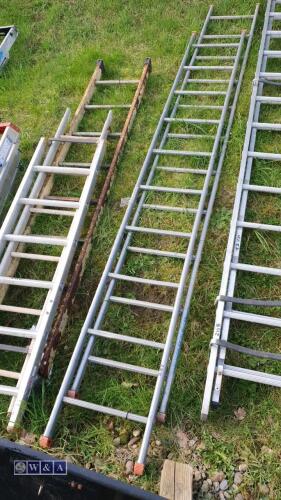 2 x aluminium ladders