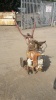 Vintage WOLSELEY rotavator c/w BRIGGS & STRATTON engine - 4