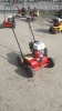 2013 CAMON LS42 petrol lawn scarifier (517S8260) - 3