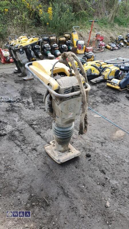 WACKER NEUSON BS60-2 petrol trench rammer (3380430)