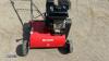 EINHELL petrol lawn scarifier - 6