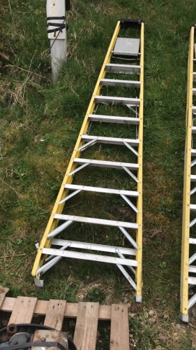 YOUNGMAN step ladder