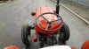 MASSEY FERGUSON 35 diesel tractor, 3 point links, puh, pto S/n:SJ94059LD (No Vat) - 19