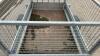 INDESPENSION 750kg single axle trailer (3421348) with cage sides - 13