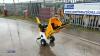 RATO 7hp petrol 100mm wood chipper (unused) - 3