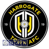 Harrogate Town Fc vs AFC Wimbledon - Kindly donated by Lightwater Quarries - 2