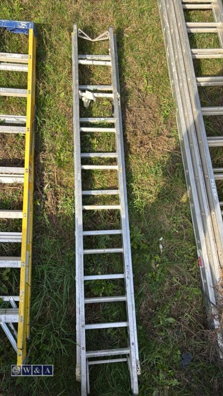 Alloy double extendable ladder