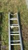 Alloy double extendable ladder - 2