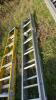 Alloy double extendable ladder - 3