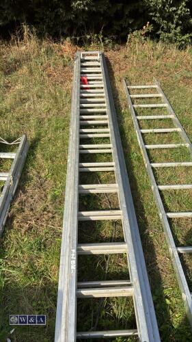 Alloy triple extendable ladder