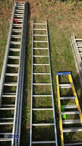 Alloy single ladder