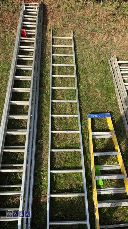 Alloy single ladder