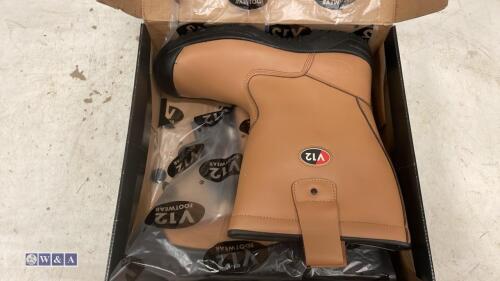 Pair of V12 safety boots (unused old stock) (size 12)