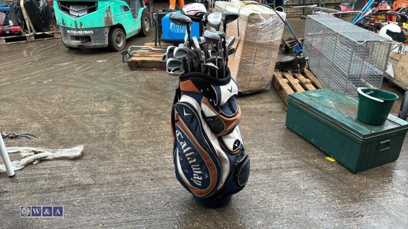 Bag of golf clubs