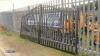 Pair of entrance gates with tree design (suit 14ft entrance) - 3