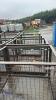 4 x steel mesh wheeled crates