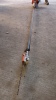 STIHL HT101 petrol pole pruner - 5