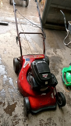 ROVER Pro Cut 560 petrol rotary mower