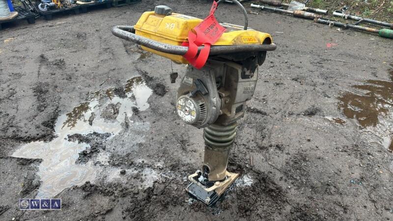 WACKER NEUSON BS50-2 petrol trench rammer (3309940)