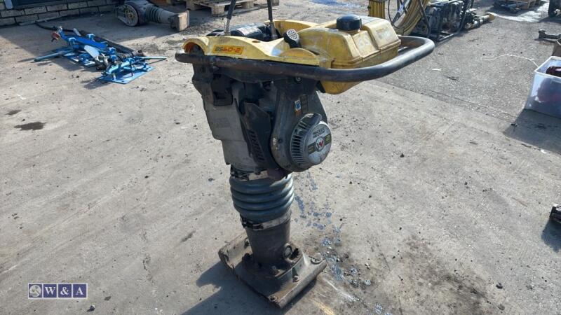 WACKER NEUSON BS60-2 petrol trench rammer