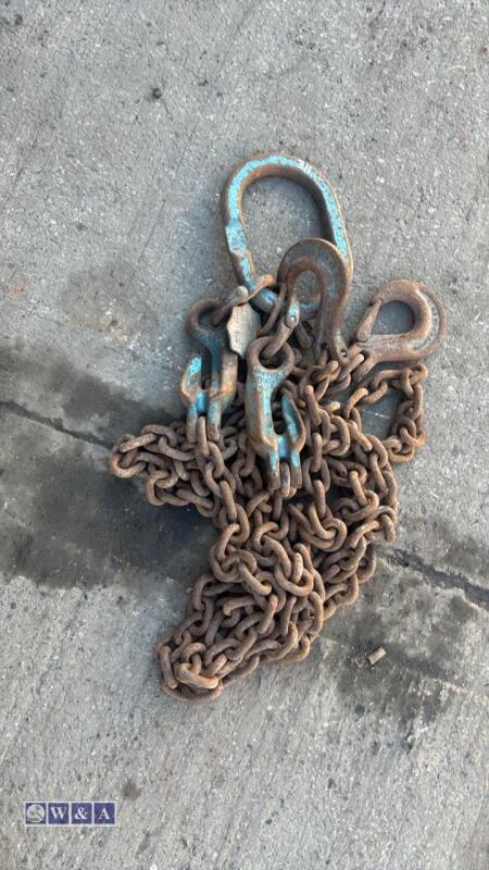 2-leg 3t lifting chain