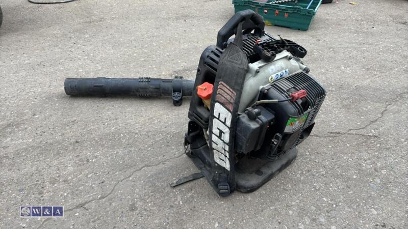 ECHO pertol backpack blower