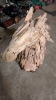 Driftwood horse head - 2