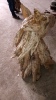 Driftwood horse head - 4