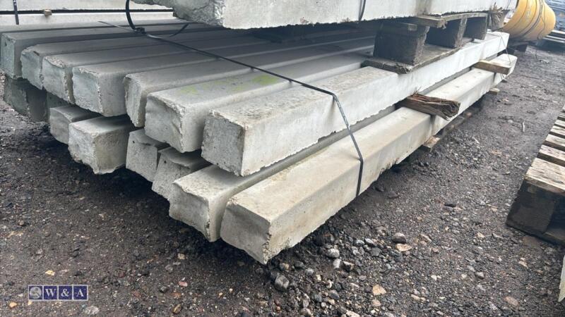 Quantity of approximately 6' universal concrete fence posts (21)