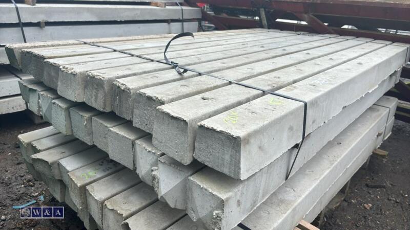 Quantity of approximately 6' universal concrete fence posts (17)