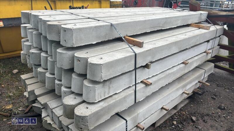 Quantity of approximately 6' universal concrete fence posts (23)